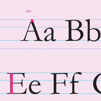 Typography Poster